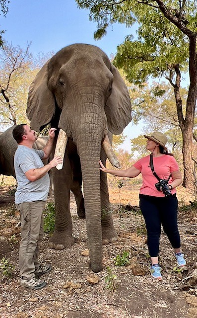 Elephant encounter in the Elephant Camp at Victoria Falls