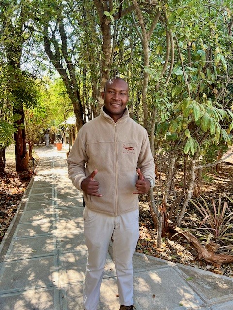 The Elephant Camp in Victoria Falls