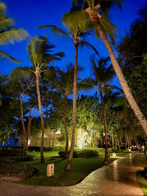 Evening view of the resort at Tortuga Bay