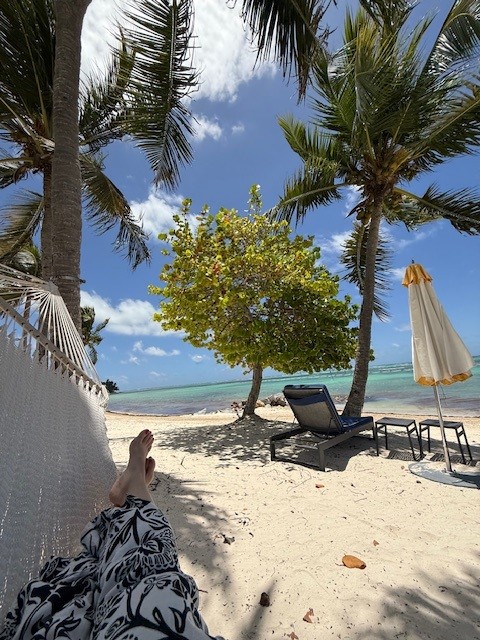 Beach at Tortuga Bay, Punta Cana